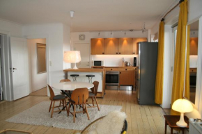 Copenhagen large Penthouse Apartment